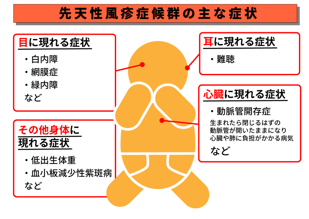 出典：厚生労働省『職場みんなで風しん対策　風しんの予防接種を受けましょう』P2の図を引用・改編
https://www.mhlw.go.jp/file/06-Seisakujouhou-11300000-Roudoukijunkyokuanzeneiseibu/shokuba-fuusin_1.pdf