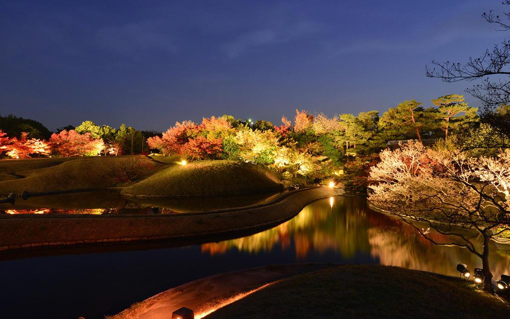 画像提供：（公財）京都市都市緑化協会
